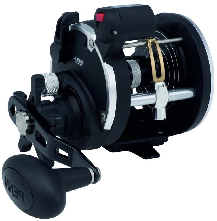 PENN RIVAL LEVEL WIND Rechtshand – Bild 5