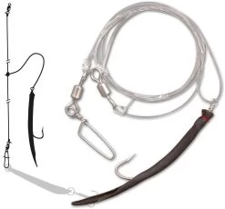 Zebco Dorsch Rig Mit Makk