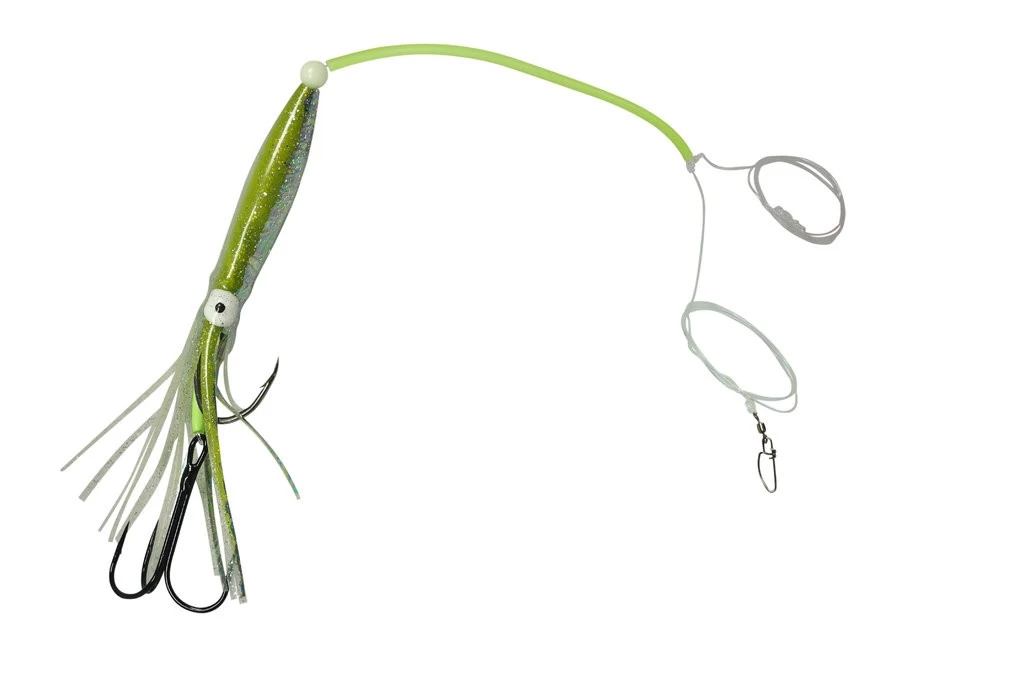 Dieter Eisele Leng Zielfischsystem II – Bild 4