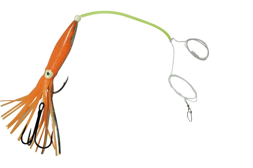 Dieter Eisele Leng Zielfischsystem II – Bild 5