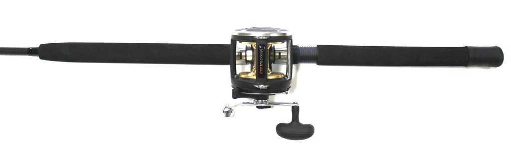 FLADEN Warbird / Maxximus Meeres-Ruten-Rollenkombo – Bild 2