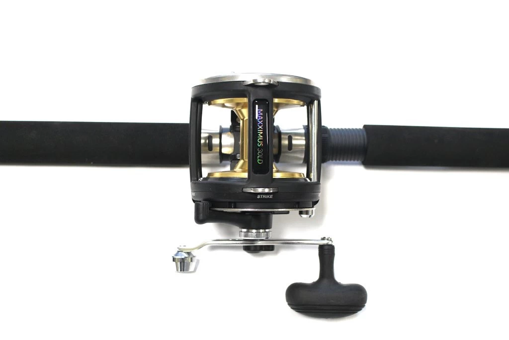 FLADEN Warbird / Maxximus Meeres-Ruten-Rollenkombo – Bild 3