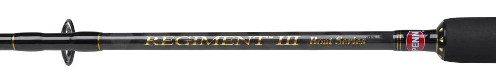 PENN Regiment III Boat Rute – Bild 2